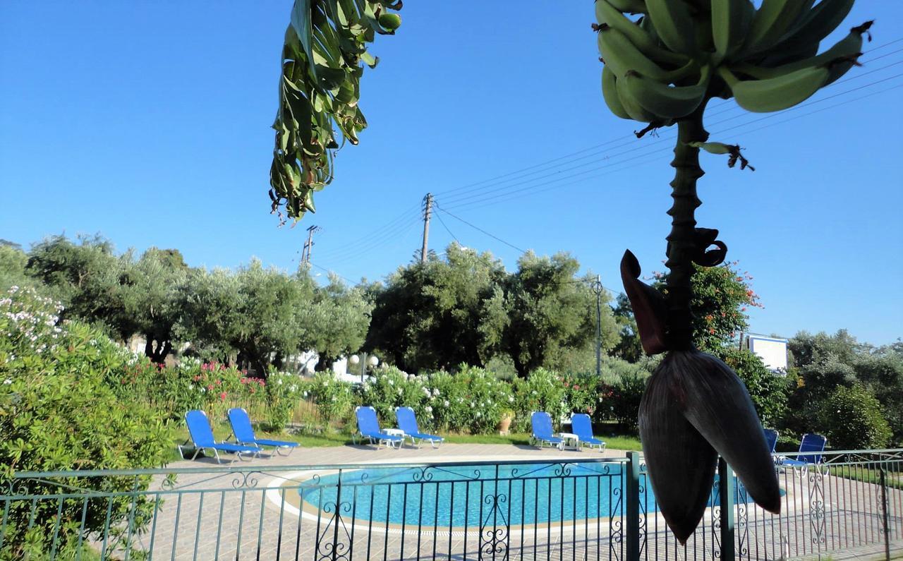 Tonia Apartments Zakynthos stad Exteriör bild